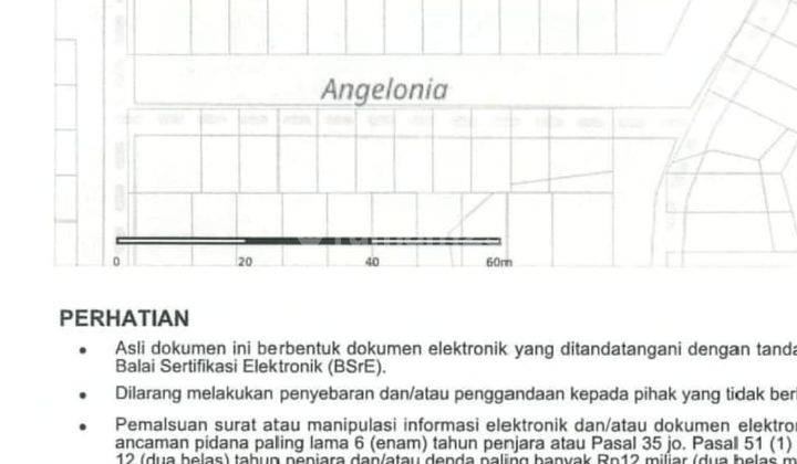 Dijual Cepat Rumah di Cluster Angelonia Medang Gading Serpong 2