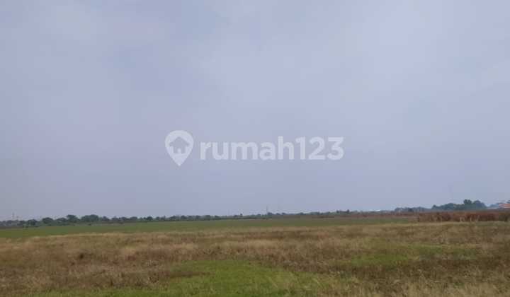 DIJUAL TANAH STRATEGIS UNTUK USAHA RAYA BABAT JOMBANG