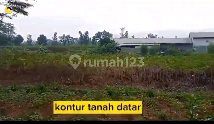 Tanah Shm Rata Luas Siap Bangun Di Babakan Madang Bogor Jawa Barat Tanah Shm Rata Luas Siap Bangun Di Babakan Madang Bogor Jawa Barat