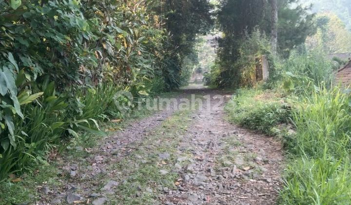 Tanah Shm 6.523 M² Cocok Untuk Dibangun Villa Atau Cafe Di Ciawi Bogor Jawa Barat Tanah Shm 6.523 M² Cocok Untuk Dibangun Villa Atau Cafe Di Ciawi Bogor Jawa Barat