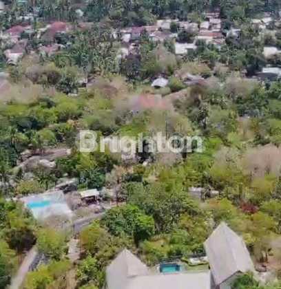 Tanah Di Dekat Pantai Lovina Yang Sangat Luas (1,8 Hektar)siap Untuk Investasi Tanah Di Dekat Pantai Lovina Yang Sangat Luas (1,8 Hektar)siap Untuk Investasi