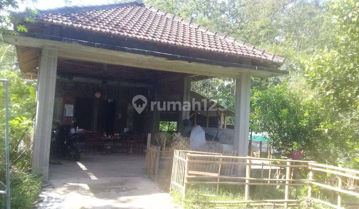 Dijual Rumah Dengan Pekarangan Yang Luas Di Desa Kayen, Trenggalek, Jawa Timur 1