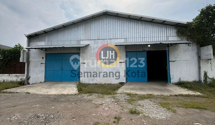 Gudang Di Kaligawe Raya 2
