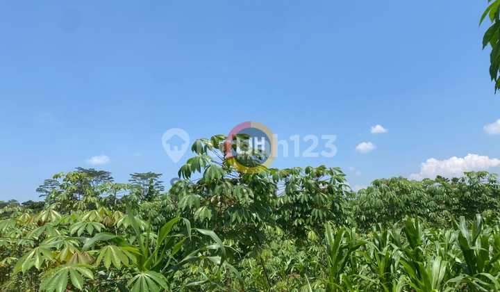 Kavling di Patean, Kendal Kavling di Patean, Kendal