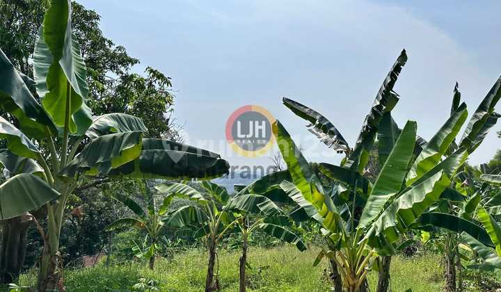 Kavling di jalan Watulawang Timur 2