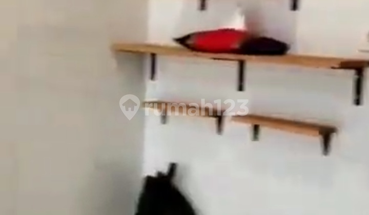 Cheap Virginia Hook Life