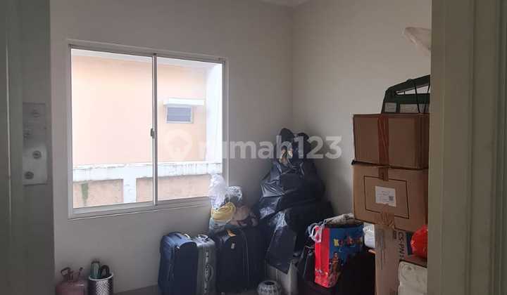 Murah Flamingo Lebar 9 2