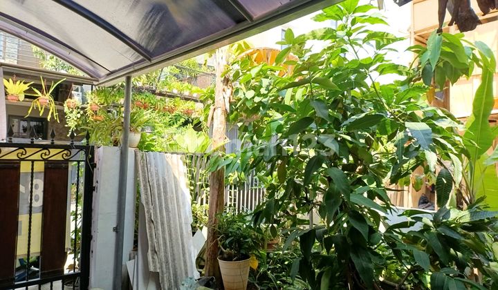 Rumah 1 Lantai Hitung Tanah Hadap Selatan Strategis Bebas Banjir Dl Duri Kepa Jakarta Barat  2