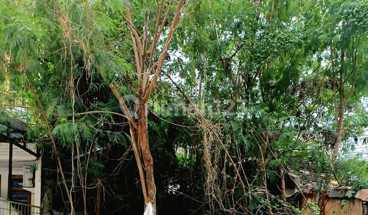 Tanah Kavling Bangun Rumah Baru Strategis & Akses Mudah Cocok Untuk Hunian Mewah Nyaman Dan Investasi Di Dalam Komplek Perumahan Taman Ratu Jakarta Barat 