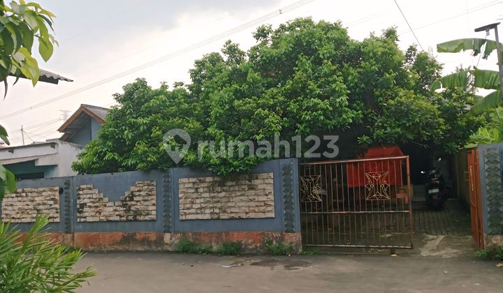 Rumah Halaman Luas Samping Citra Raya Bonus 5 Pohon Rambutan, Cikupa, Tangerang Rumah Halaman Luas Samping Citra Raya Bonus 5 Pohon Rambutan, Cikupa, Tangerang