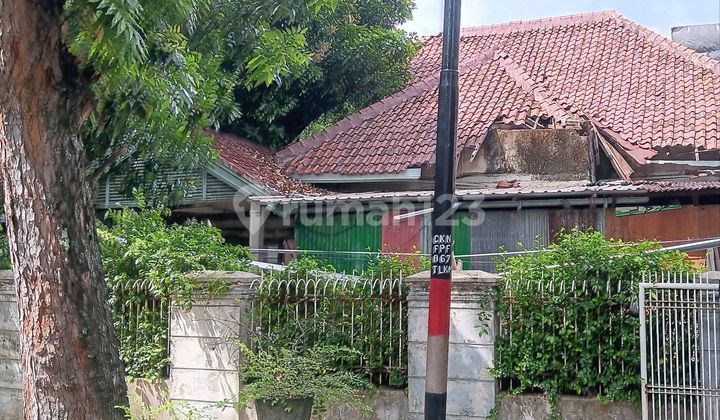 Rumah di Jalan Blitar ,Menteng ,Jakarta Pusat 1