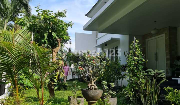 Spacious and Comfortable House in Menteng Bintaro House