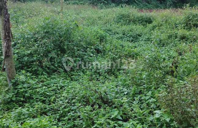 Dijual Tanah Bojong Kamal Legok Tangerang Dijual Tanah Bojong Kamal Legok Tangerang