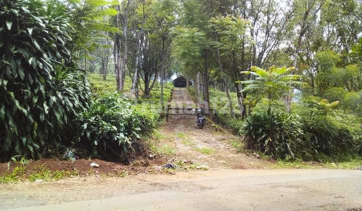 Dijual Tanah Luas di Wanayasa Purwakarta Jawa Barat Dijual Tanah Luas di Wanayasa Purwakarta Jawa Barat