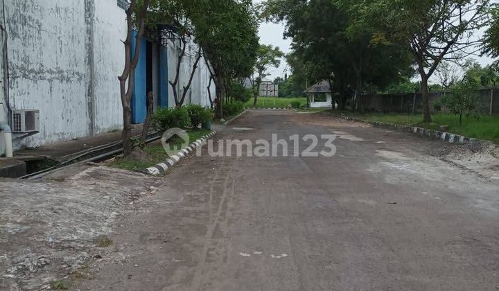 For Rent: Ready-to-Occupy Factory in Serang Industrial Area
