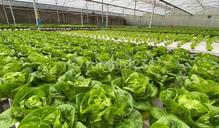 Dijual Tanah Siap Bangun Di Subang Jawa Barat