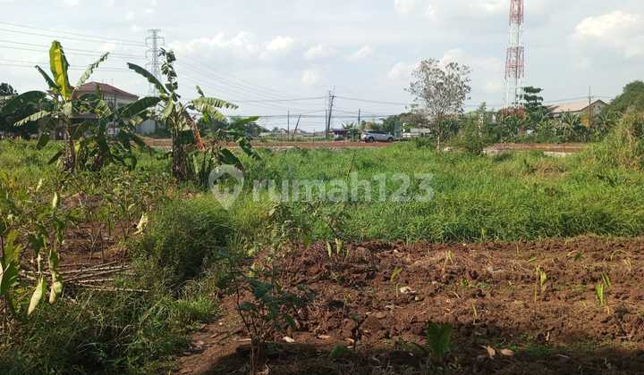 Land for Sale Cheap in Cilebut Land for Sale Cheap in Cilebut
