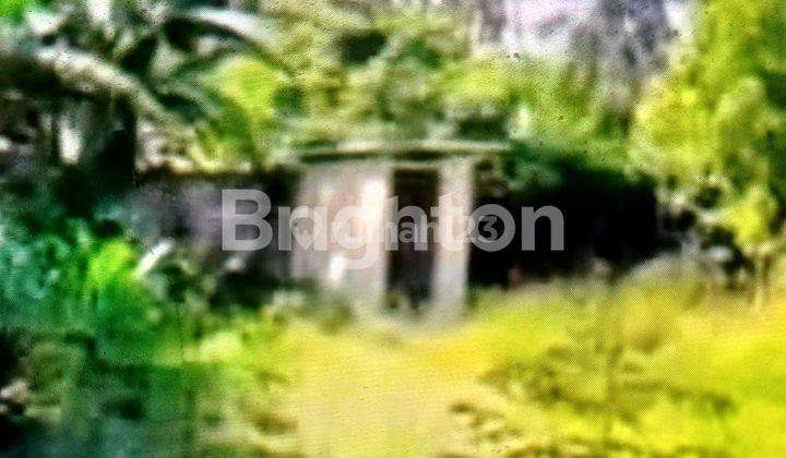 RUMAH DI BANGKA 2