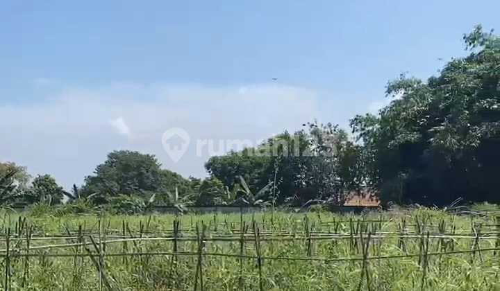 Disewakan lahan kosong Di Pinggir Jalan Raya Setu, Cileungsi 