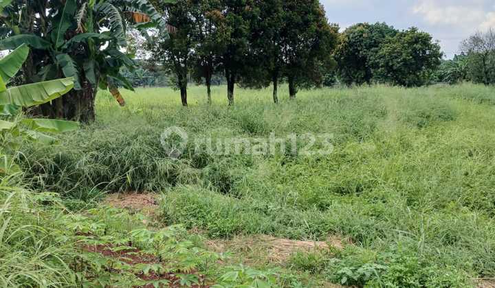 Disewakan Lahan Siap Pakai Dengan Luas 1.6 Ha di Jalan Raya Narogong Pangkalan 1.B, Bekasi