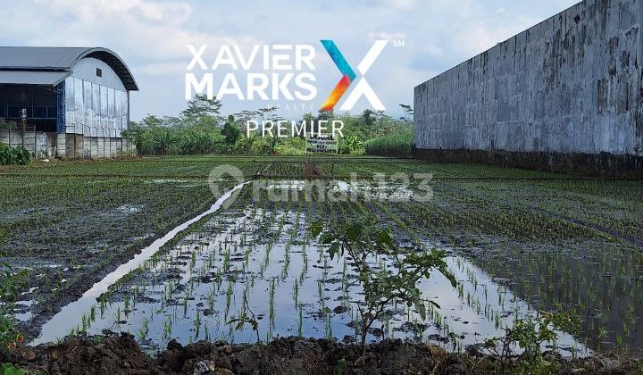 Porous Land in Pakisaji, Malang Suitable for Factory or Warehouse