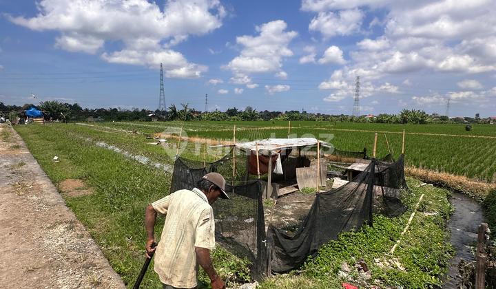 Dijual Tanahdi Luk Luk Tangeb Badung