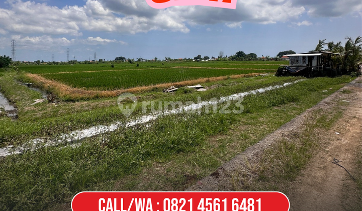 Land for Sale in Luk Luk Tangeb Badung