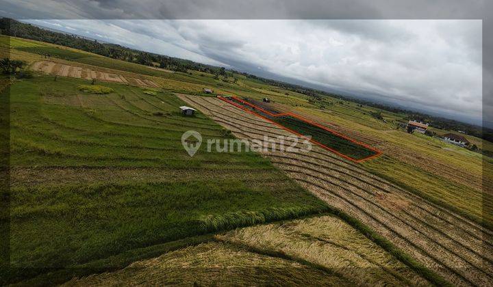 Land for Rent 13 Are (Tourism Zone) Bali/Tabanan – Your Private Piece of Paradise with Ocean and Mountain Views 2