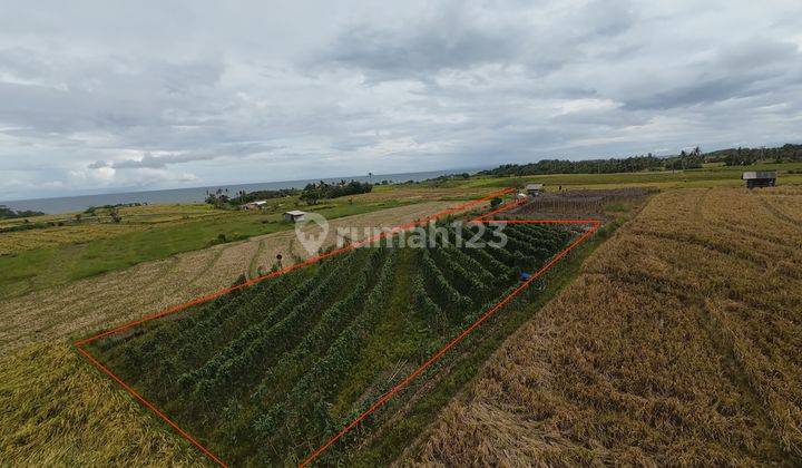 Land for Rent 13 Are (Tourism Zone) Bali/Tabanan – Your Private Piece of Paradise with Ocean and Mountain Views 1