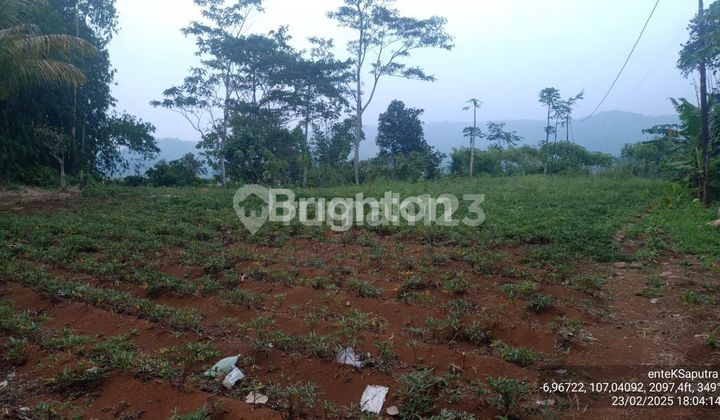 PLANTATION LAND IN CEMPAKA, CIANJUR