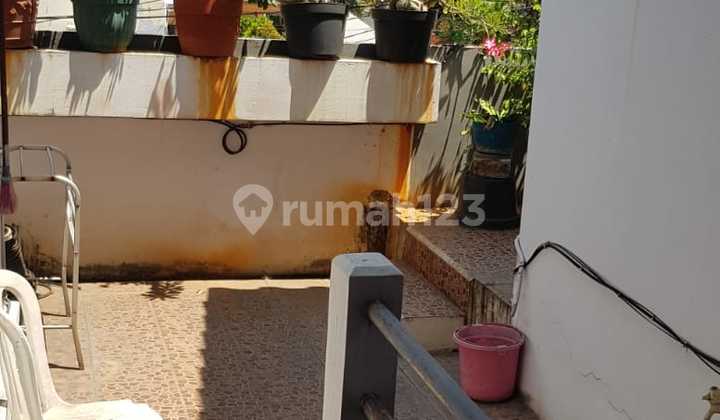 Rumah 350m² 2 Lantai 10x29 Dekat Biak, Cideng, Roxy Mas 2