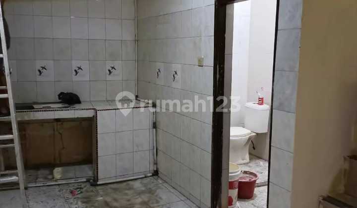 Down 300 million!! Meet the Owner Directly in Sereal Land 1