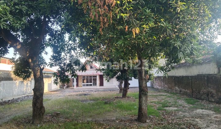 Buy Land Bonus House On Jl. Adisucipto Surakarta Buy Land Bonus House On Jl. Adisucipto Surakarta