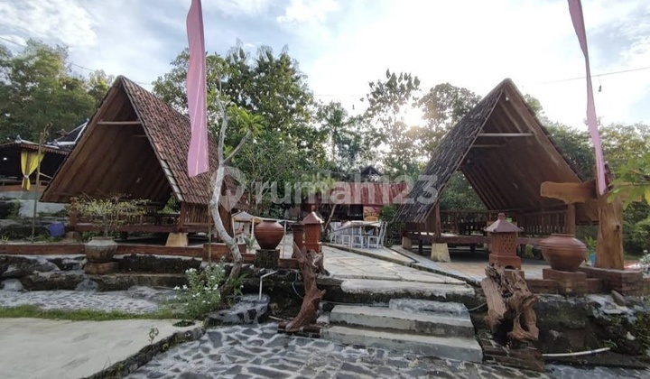 Turun Harga !! Beli Tanah Strategis Pinggir Jalan Raya Provinsi Gunung Kidul Yokyakarta Turun Harga !! Beli Tanah Strategis Pinggir Jalan Raya Provinsi Gunung Kidul Yokyakarta