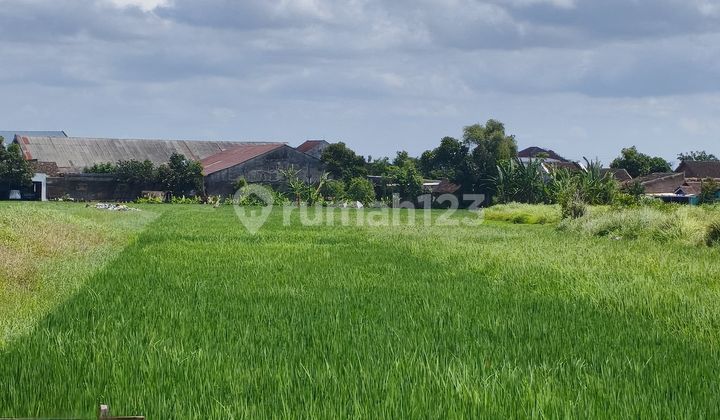 Tanah Strategis Pinggir Jalan Raya Gawok Sukoharjo Komplek Pergudangan