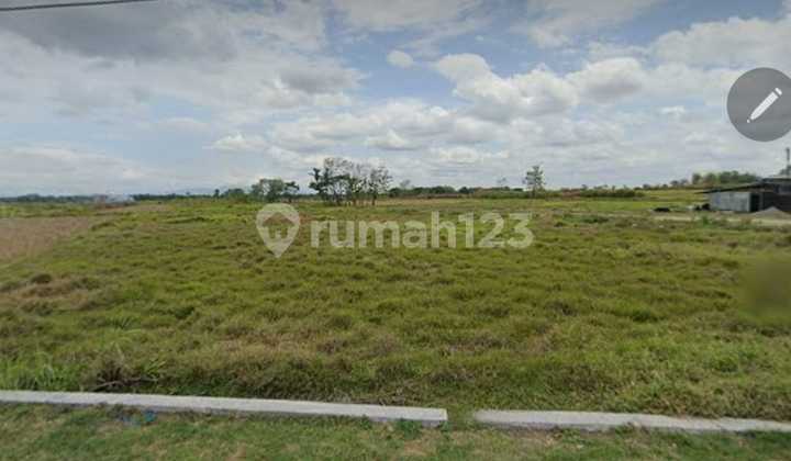 Tanah Zona Merah Strategis Di Dekat Solo Baru Kontur Tanah Sangat Datar Tanah Zona Merah Strategis Di Dekat Solo Baru Kontur Tanah Sangat Datar