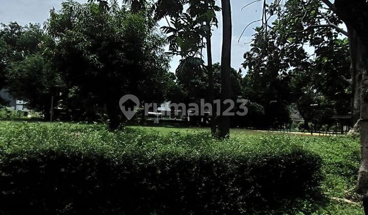 Rumah Asri Nyaman Di Perumahan Cibubur Indah Jakarta Timur Rumah Asri Nyaman Di Perumahan Cibubur Indah Jakarta Timur