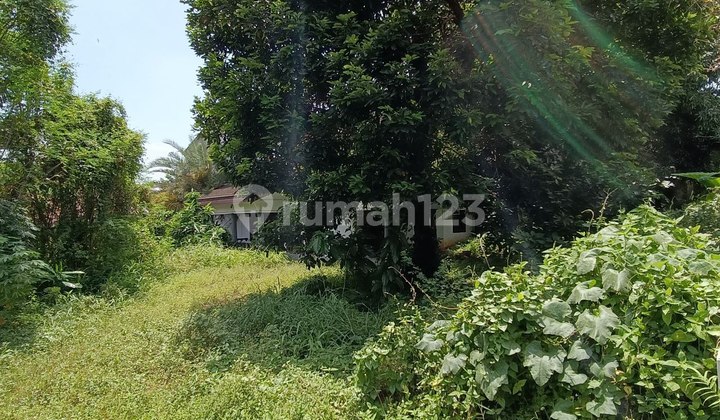 Land Below Market Price Bonus Old Building Strategic South Jakarta