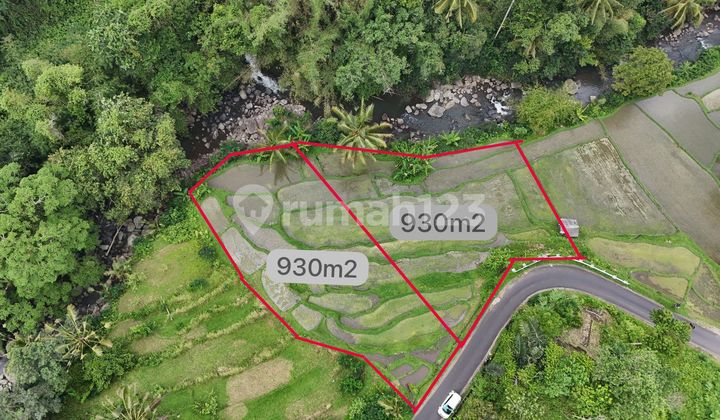 Dijual Tanah Pertanian Los Sungai Dan Waterfall Tabanan Dijual Tanah Pertanian Los Sungai Dan Waterfall Tabanan