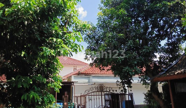 Kost Aktif Terisi @ Dekat Undip Tembalang 2