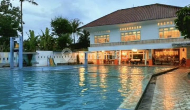 Premium House and Commercial Swimming Pool