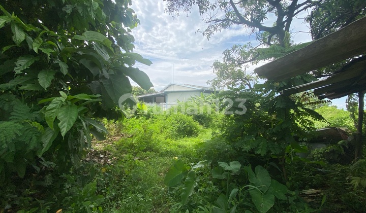 Tanah Industri Tambak Aji Ngaliyan Dibawah Njop 2