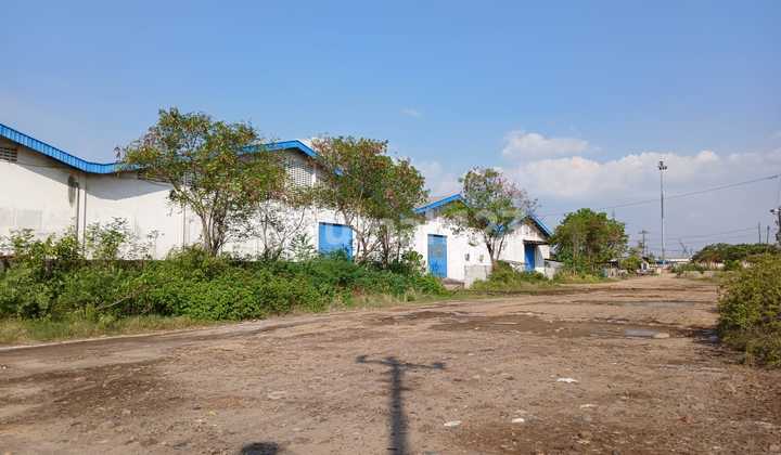 Warehouse Near Terboyo Terminal 7 Km to Tanjungmas Port 2