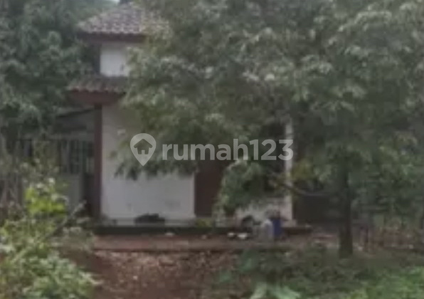 Land + Productive Durian Orchard with Freehold Title (SHM) in Mijen 2