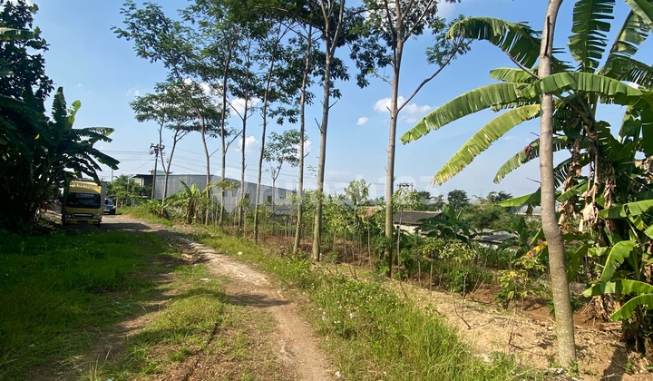 Commercial Land Suitable for Housing and Warehouses with Container Access 2