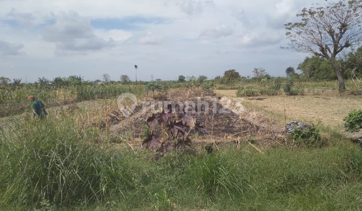 Ready-to-Use Land for Business, Strategic Location, Area 2025M² in Kedamean, Gresik Ready-to-Use Land for Business, Strategic Location, Area 2025M² in Kedamean, Gresik