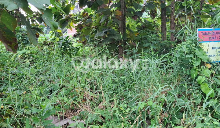 Tanah cocok untuk usaha harga murah lokasi nol jalan
