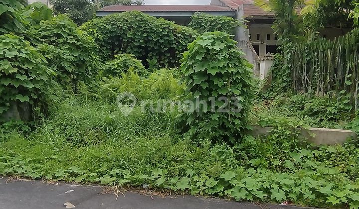 Tanah Strategis di Ngumban Surbakti, Ringroad, Medan Selayang (7 x 35.5 m2) 2