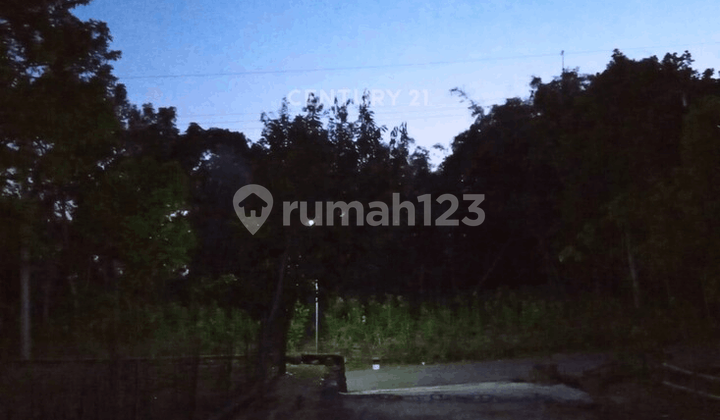Cheap Land with an Area of 1531 M2 In Musuk Boyolali