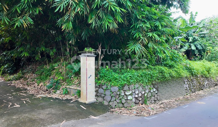 Tanah Luas 773 M2 Di Pondowoharjo Sleman Cocok Untuk Investasi 